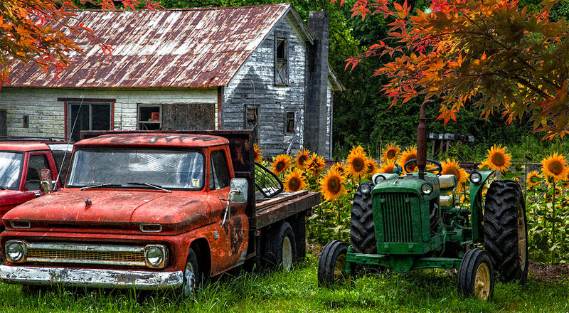 Race Car Spot Difference